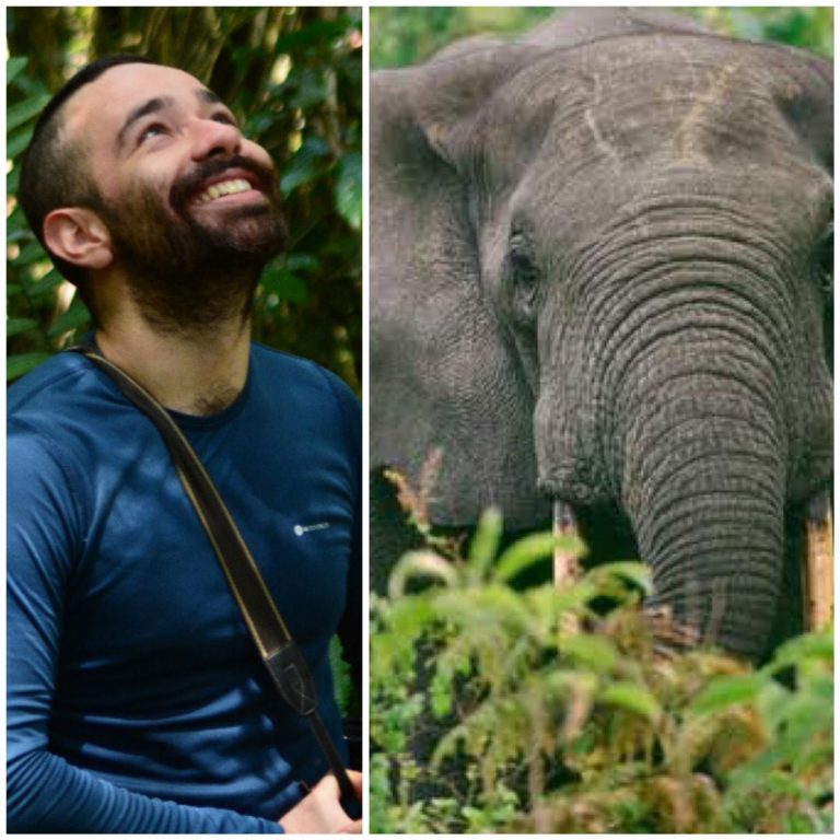 Colombian researcher killed by elephant in Kibale National&nbsp;Park